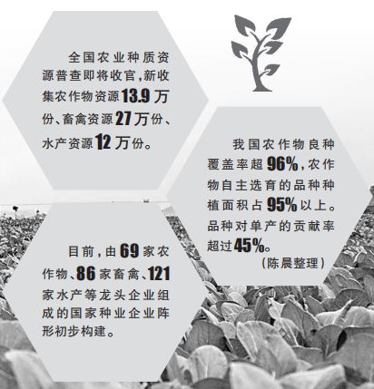 天顺平台：攥紧中国种子，为良种装上“中国芯”